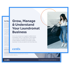 Grow, Manage  & Understand Your Laundromat Business-1-1